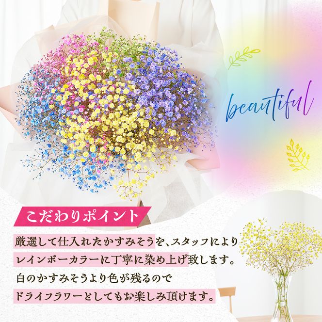【佳花園】レインボーかすみそう 花束［156K03］