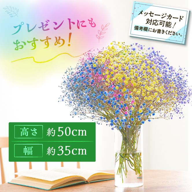 【佳花園】レインボーかすみそう 花束［156K03］