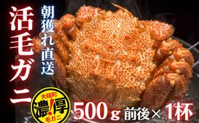 【期間限定3月～4月発送】三陸産活毛ガニ500g×1杯(1尾)【0tsuchi00939】【05】