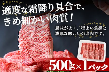 ＜宮崎牛肩ローススライス 500g＞翌々月末迄に順次出荷【b0549_ty】