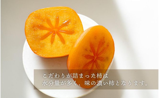 柿 種無し 赤秀品 超大玉 1.8kg 5～6個 【先行予約】【2025年9月下旬頃から発送】【KG4】 303446_XM90004