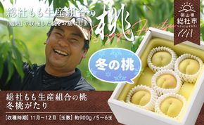 白桃「冬桃がたり」岡山県総社もも生産組合【2024年産先行予約】24-030-028