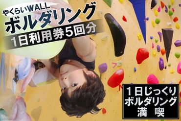 やくらいWALL　1日利用券5回分チケット＜ボルダリングパークやくらいWALL＞【宮城県加美町】