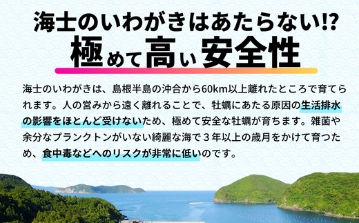 【のし付き】海士のいわがき 新鮮クリーミーな高級岩牡蠣 殻付きLサイズ×10個 