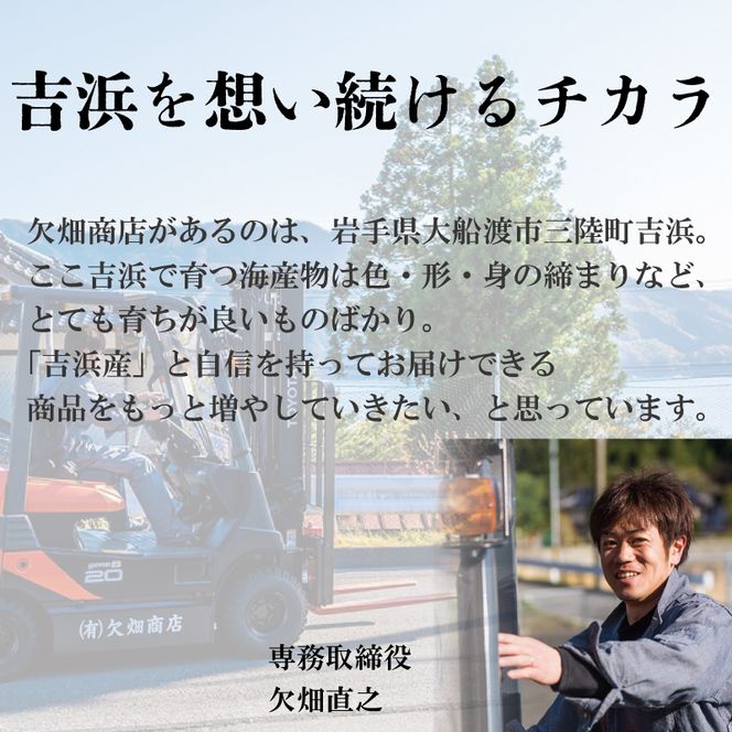 訳あり 潮ウニ 120g 冷凍 ミョウバン不使用 雲丹 寿司 汐うに 塩うに 海鮮 魚貝類 魚介類 キタムラサキウニ 小分け 塩水 天然 刺身 ウニ丼 ご飯 白米 おつまみ 三陸産 岩手県 大船渡市 [56500615_2]
