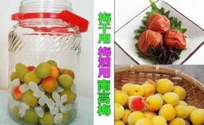 ［梅干・梅酒用］（3Lまたは2L－2Kg）熟南高梅＜2026年6月上旬～7月7日発送予定＞フルーツ 果物 くだもの 食品 人気 おすすめ 送料無料［ART06］ 303446_XL04