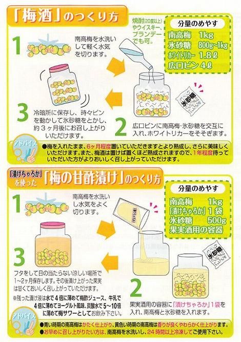 【梅干・梅酒用】（3Lまたは2L－2Kg）熟南高梅＜2025年6月上旬～7月7日発送予定＞フルーツ 果物 くだもの 食品 人気 おすすめ 送料無料【ART06】 303446_XL04