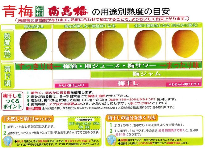 【梅干・梅酒用】（3Lまたは2L－2Kg）熟南高梅＜2025年6月上旬～7月7日発送予定＞フルーツ 果物 くだもの 食品 人気 おすすめ 送料無料【ART06】 303446_XL04