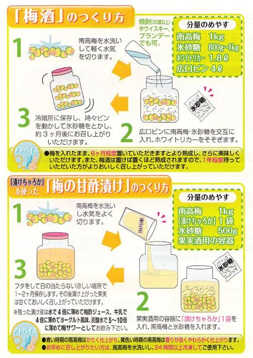 【梅干・梅酒用】（2LまたはL－2Kg）熟南高梅＜2025年6月上旬～7月7日発送予定＞フルーツ 果物 くだもの 食品 人気 おすすめ 送料無料【ART04】 303446_XL06