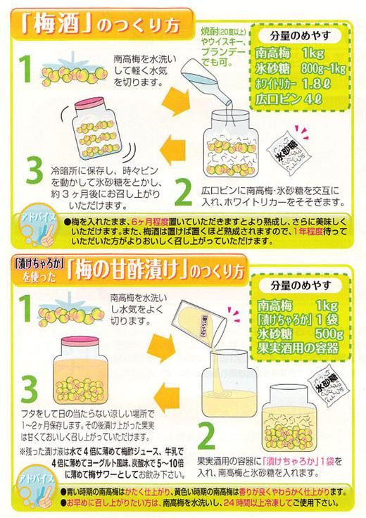 ［梅干・梅酒用］（2LまたはL－10Kg）熟南高梅＜2026年6月上旬～7月7日発送予定＞フルーツ 果物 くだもの 食品 人気 おすすめ 送料無料［ART03］ 303446_XL07