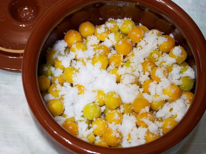 ［梅干・梅酒用］（2LまたはL－10Kg）熟南高梅＜2026年6月上旬～7月7日発送予定＞フルーツ 果物 くだもの 食品 人気 おすすめ 送料無料［ART03］ 303446_XL07