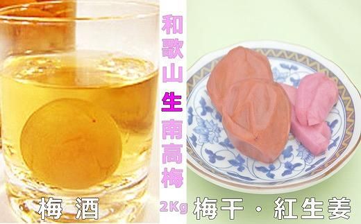 ［梅干・梅酒用］（LまたはM－2Kg）熟南高梅＜2026年6月上旬～7月7日発送予定＞フルーツ 果物 くだもの 食品 人気 おすすめ 送料無料［ART07］ 303446_XL08