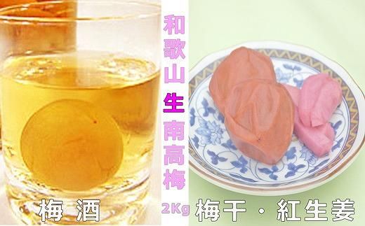 【梅干・梅酒用】（LまたはM－2Kg）熟南高梅＜2025年6月上旬～7月7日発送予定＞フルーツ 果物 くだもの 食品 人気 おすすめ 送料無料【ART07】 303446_XL08