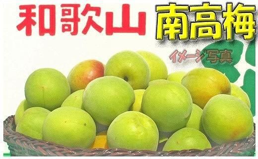 【梅干・梅酒用】（LまたはM－10Kg）熟南高梅＜2025年6月上旬～7月7日発送予定＞フルーツ 果物 くだもの 食品 人気 おすすめ 送料無料【ART08】 303446_XL09