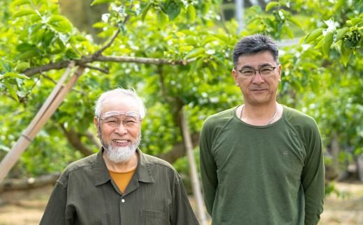 ［梅干・梅酒用］（4Lまたは3L－10kg）熟南高梅＜2026年6月上旬～7月7日発送予定＞フルーツ 果物 くだもの 食品 人気 おすすめ 送料無料［ART09］ 303446_XL17