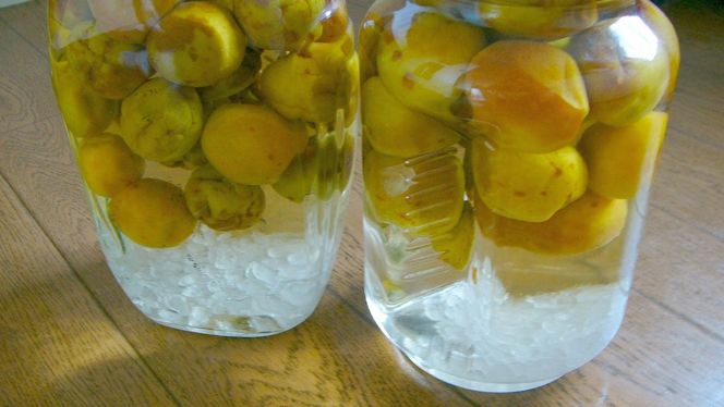 ［梅干・梅酒用］（4Lまたは3L－10kg）熟南高梅＜2026年6月上旬～7月7日発送予定＞フルーツ 果物 くだもの 食品 人気 おすすめ 送料無料［ART09］ 303446_XL17