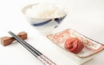 ［梅干・梅酒用］（4Lまたは3L－2Kg）熟南高梅＜2026年6月上旬～7月7日発送予定＞フルーツ 果物 くだもの 食品 人気 おすすめ 送料無料［ART10］ 303446_XL18