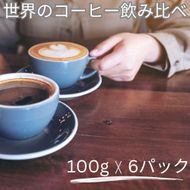 [豆]コーヒー豆 100g×6種類セット 合計600g 注文後焙煎  272183_BG426