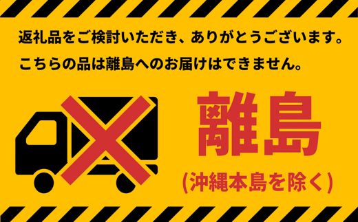 K2240 Yogibo Roll Max ヨギボー ロールマックス キャメル（茨城県猿島