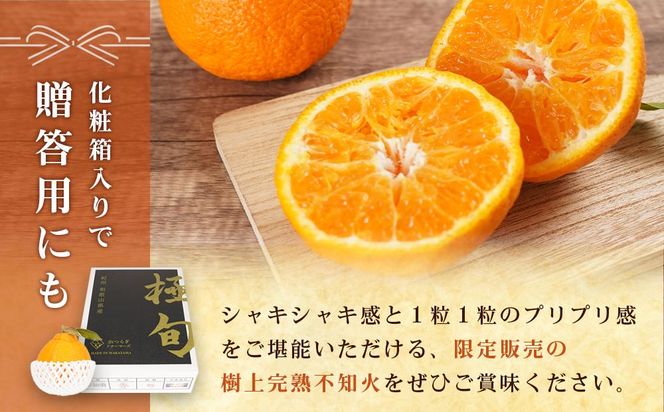 【贈答用化粧箱入】 不知火 樹上完熟 約2kg （5～8個入）【2025年2月中旬頃から発送】【KG10】 303446_XM90010