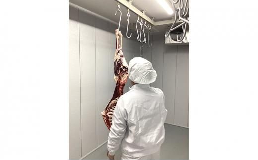 北海道 標茶町産 エゾ 鹿肉 骨付きかた肉 約2kg【 肉 にく 鹿肉 ジビエ ＢＢＱ バーベキュー グルメ ヘルシー 高タンパク 標茶町 北海道 】 016641_AY001