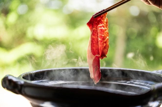 北海道 標茶町産 エゾ 鹿肉 しゃぶしゃぶ用 ロース 500g 016641_AY004