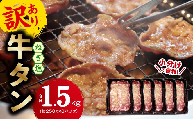 G1171 牛タン＆牛ハラミ 総量 2.5kg 焼肉セット【成型牛たん ハラミ 牛肉 焼肉用 薄切り 訳あり サイズ不揃い】