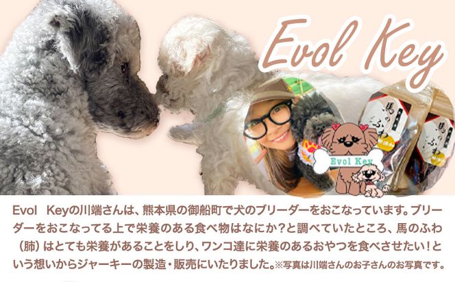 ドッグフード ジャーキー 無添加 馬のふわ ジャーキー ペット用 Evol Key 熊本県 御船町《30日以内に出荷予定(土日祝除く)》送料無料---sm_ekufjk_30d_23_6500_1p---