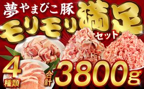 やまびこ豚 計3.8kg セット 小間切 ミンチ ロースかつ バラ角切 豚肉 小分け 真空パック 肉 お肉