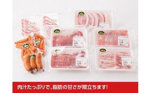 尾鈴豚おすすめセット 【 肉 豚肉 精肉 肉加工品 惣菜 詰め合わせ ロースしゃぶ ロースカツ カタロース バラ 骨付きフランク あらびきウインナー 生ハム ロース 】 [C00402]