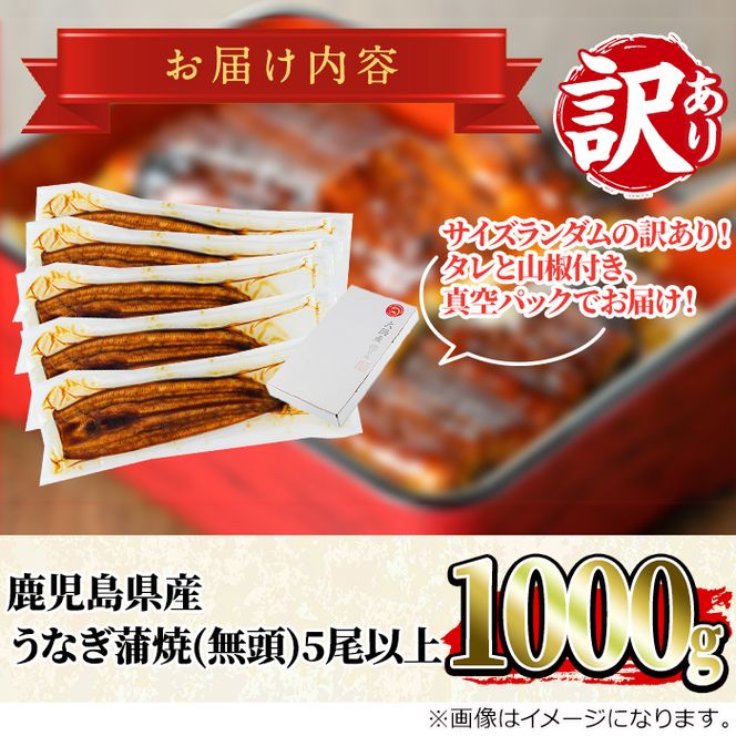 【0304313a】＜訳あり＞東串良町のうなぎ蒲焼(無頭)(5尾以上・計約1kg・タレ、山椒付) うなぎ 高級 ウナギ 鰻 国産 蒲焼 蒲焼き たれ 鹿児島 ふるさと 人気【アクアおおすみ】