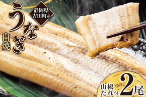 うなぎ 国産 静岡 うなぎ白焼 150g 以上× 2尾 タレ 山椒 付き [大井川うなぎ 静岡県 吉田町 22424463] 鰻 ウナギ 白焼き 白焼 鰻白焼き 真空パック 静岡県産