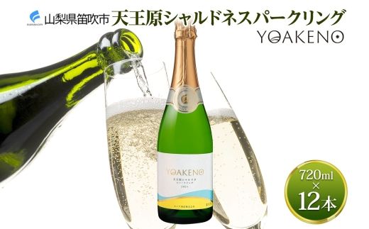 yRJszsnl ΉtYOAKENO V Vhl Xp[NO 720ml×12{ 177-4-085