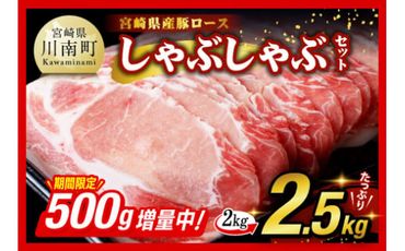 [期間限定500g増量中!]宮崎県産豚ロースしゃぶしゃぶ 2.5kg (500g×5) [ 豚肉 豚 肉 国産 うす切り ][D0609]