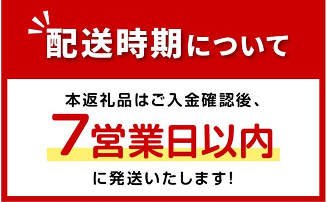 《7営業日以内に発送》海の恵み 北海道ほたてスープ 8袋×2箱 ( ふるさと納税 ほたて 帆立 スープ 小分け 即席 簡単 粉末 調味料 )【125-0021】