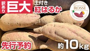 【 先行予約 2024年11月下旬以降発送 】 訳あり (割れ、傷) 八千代町産 巨大さつまいも 紅はるか 生芋 土付き 無選別 約 10kg ワケアリ 訳アリ わけあり サツマイモ さつまいも 芋 フードロス 巨大 大きい 茨城 [AX038ya]