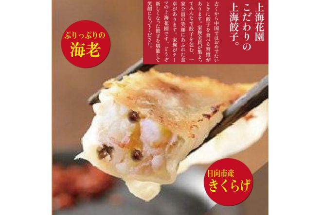 海老餃子 きくらげ入り 10×3 計30個 [サニーガーデン 宮崎県 日向市 452060640] 加工品 惣菜 エビ餃子 冷凍 餃子 ぎょうざ ギョウザ