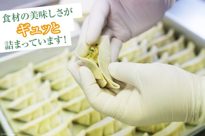 宮崎餃子 へべす餃子 15個×4 計60個 [餃子の里 宮崎県 日向市 452061116] 惣菜 餃子 ぎょうざ ギョウザ 専門店 冷凍