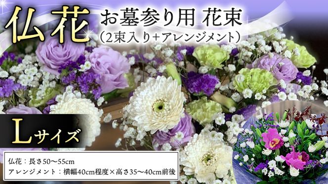 y錧}sz Zbg L (  × 2 E AWg )  t[    O Q    [CT135ci]