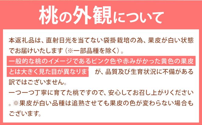 【令和7年度出荷】桃 岡山の桃 3玉 約750g 《2025年6月下旬-9月上旬頃出荷》 ご家庭用 訳あり 白桃 岡山 はくとう スイーツ フルーツ 果物 デザート 旬 モモ もも 先行予約 送料無料 果物 岡山県 笠岡市 清水白桃 白鳳 白麗 クール便---223_c853_6g9j_24_10000_750g---