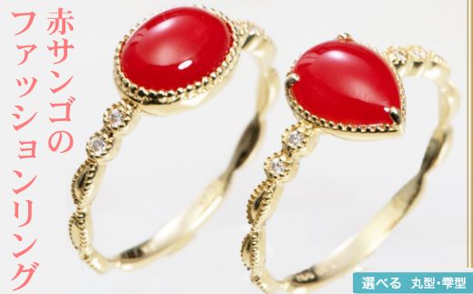 ymˎszmIׂnԃTS̃t@bVO@kn044