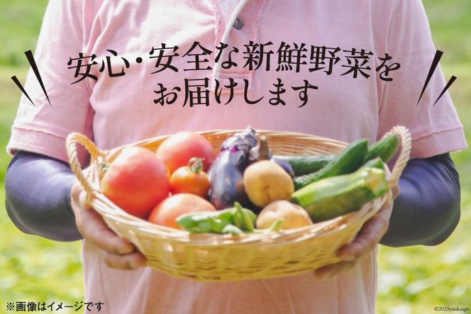 No.135 OGAWA'N 野菜セット ／ 農産物 やさい 詰合せ 旬＜JA埼玉中央＞【埼玉県小川町】