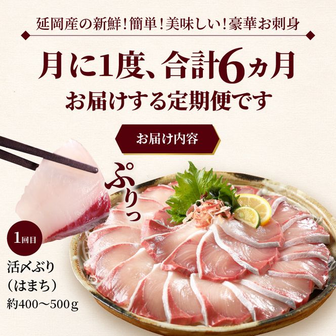 y{茧szyyݒցzYYN̍؂hg i6ցj֐Y@N019-YF073