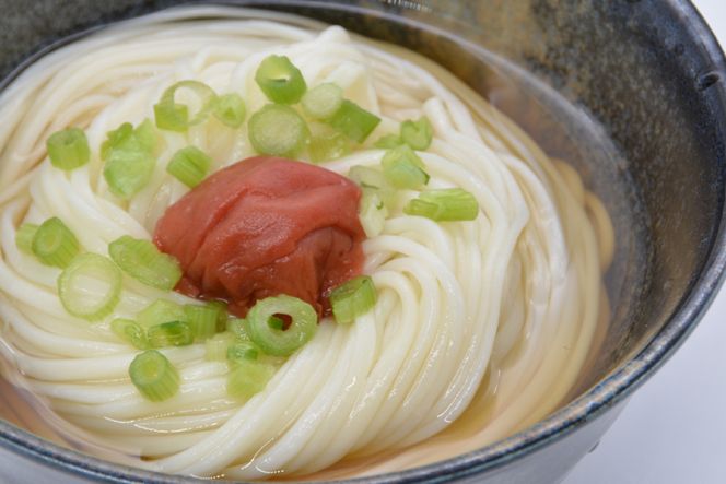 DE273 島原手延うどん　山水の糸　2袋 （200g×2）