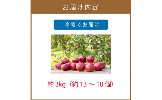 【予約：2024年10月から順次発送】北海道北見市産りんご( 旭 )約3kg ( りんご リンゴ 林檎 果物 フルーツ 期間限定 )【044-0003-2024】
