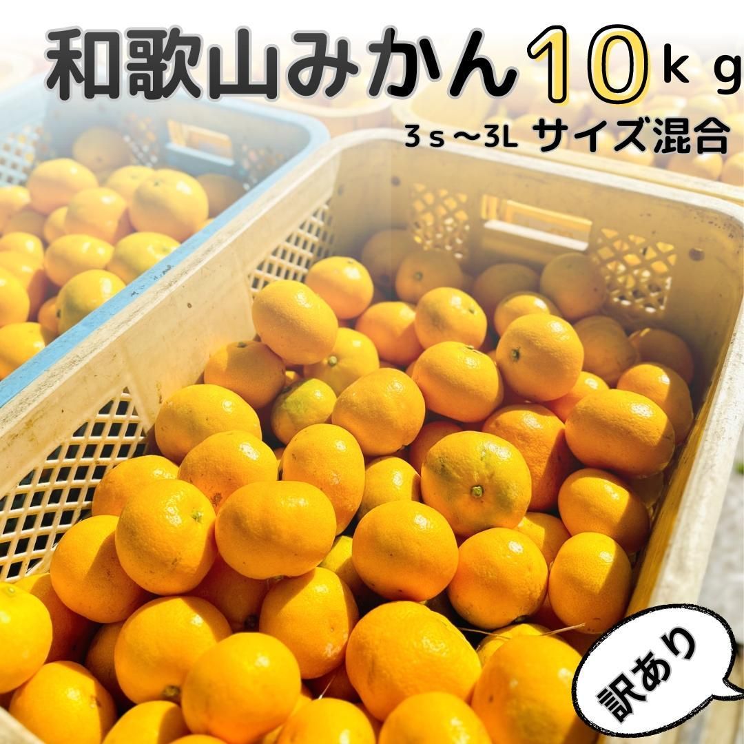 [訳あり]和歌山みかん 約9.5kg+補償分約500g サイズ混合 11月より順次発送 訳ありみかん [red1] 303446_BZ90001