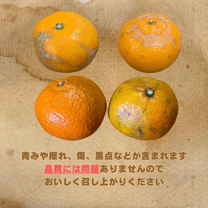 【訳あり】和歌山みかん 約9.5kg+補償分約500g サイズ混合 11月より順次発送 訳ありみかん 【red1】 303446_BZ90001