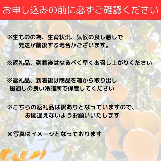 【訳あり】和歌山みかん 約9.5kg+補償分約500g サイズ混合 11月より順次発送 訳ありみかん 【red1】 303446_BZ90001