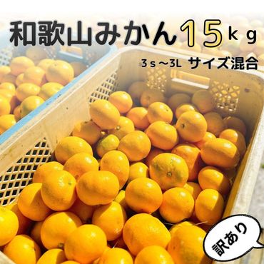 【訳あり】和歌山みかん約14kg+補償分約1kg サイズ混合 11月より順次発送 訳ありみかん 【red3】 303446_BZ90003