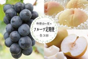 定期便全3回 【7月・8月・9月発送】 和歌山の夏のフルーツをお届け（桃・梨・たねなしピオーネ）【TM179】 303446_XH92236